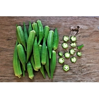 Bendakaya (Okra)