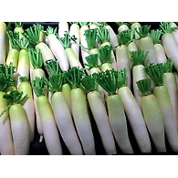 Mullangi (Radish)