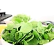 Palakura (Spinach)-SBV023-sm