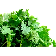 Kothimeera (Coriander leaves)