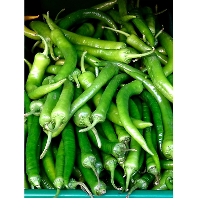 Pachi mirapakaya (Green chilli)-SBV030