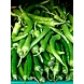 Pachi mirapakaya (Green chilli)-SBV030-sm