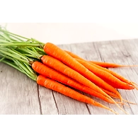 carrot (carrot)
