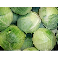 cabbage (Cabbage)