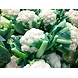 gobi puvvu (cauliflower )-SBV034-sm