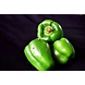 green capsicum (capsicum )-SBV035-sm