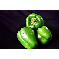 green capsicum (capsicum )
