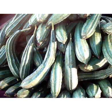 Beerakaya (Ridge gourd)-SBV012