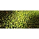 Popcorn-NAC-1112-sm