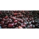 Laal Rajma Laal (Delhi)-NAC-1117-sm
