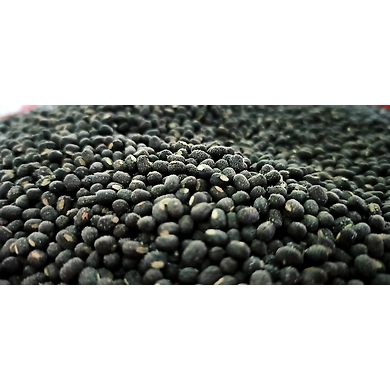 Urad Sabut (Delhi)-NAC-1118