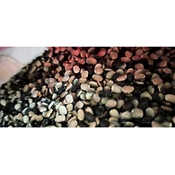 Urad Chilka (Delhi)