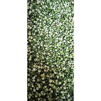Moong Chilka (Delhi)-NAC-1122