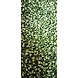 Moong Chilka (Delhi)-NAC-1122-sm
