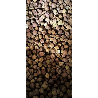 Farm Chana (Delhi)-NAC-1123