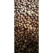 Farm Chana (Delhi)-NAC-1123-sm