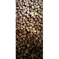 Farm Chana (Delhi)