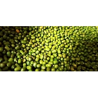 Moong Sabut(Delhi)
