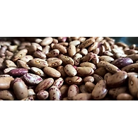 Rajma Chitra (Madras)