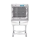 Jumbo 65 DB-SKU-SHAH-0184-sm