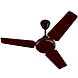 Bajaj Speedster 900 mm Brown Ceiling Fan-1-sm