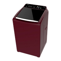 Stainwash Deep Clean 7.5 kg Fully Automatic Top Load Washing Machine
