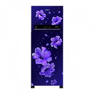 IntelliFresh 265 L Frost Free Double Door Refrigerator(5 in 1 Convertible Freezer, Inverter Compressor, Sapphire Hibiscus, 3 Star, 10 Years Warranty )