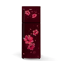 Neo fresh 245L Frost Free Double Door Refrigerator( 6th Sense DeepFreeze Technology, Wine Hibiscus, 2 Star, 10 Years Warranty )