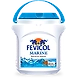 Fevicol Marine-SLAS-1126-sm