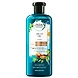 ARGAN OIL SHAMPOO-ACLS-1322-sm