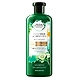 CUCUMBER AND GREEN TEA SHAMPOO-ACLS-1327-sm