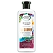 ROSEMARY &amp; HERBS SHAMPOO-ACLS-1329-sm