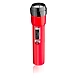 EVERGREEN BRASS TORCHES DL02 - DAZZLE-ACLS-1795-sm