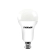 EVEREADY BULB HIGHER WATTAGE LAMPS-ACLS-1901-sm