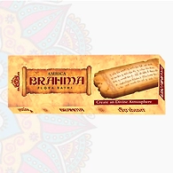 AMBICA BRAHMA