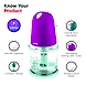 Boss B705 Axe Chopper 260 W Mixer Grinder-1-sm