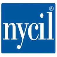 NYCIL 20g * 20 PC