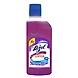 LIZOL COL 550ML-SVVA-2056-sm