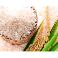 White Rice