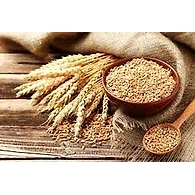 Wheat Whole