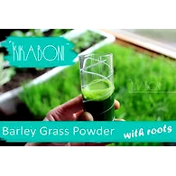 Barley Grass Powder