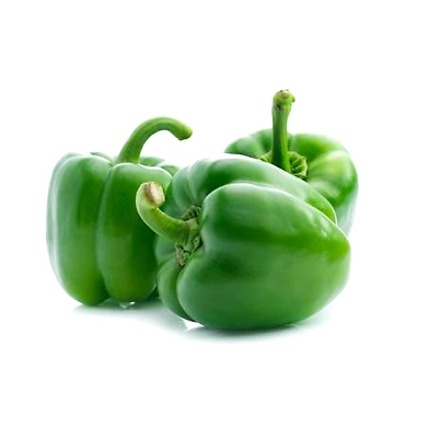 Capsicum-P3-K20-1Kg