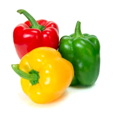 Capsicum Yellow-P4-K11-1Kg