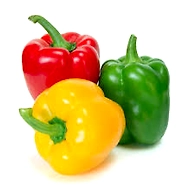 Capsicum Yellow