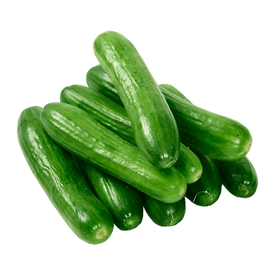 European Cucumber-P4-K12-1Kg