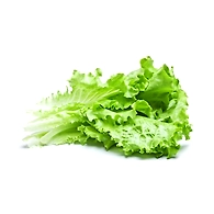 Lettuce Ice Berg