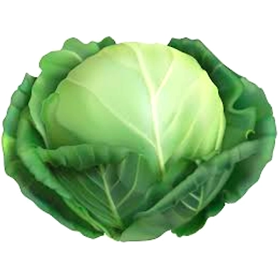 Cabbage-P4-K15-1Kg