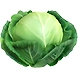 Cabbage-P4-K15-1Kg-sm