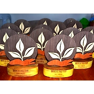 Wooden Trophy