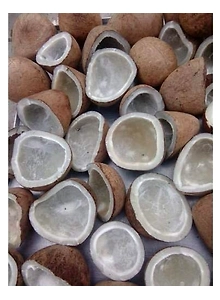 COCONUT GOLA COPRA 500 gm